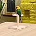 foreverwen Bird Cage Stand Parrot Perch Training Stands Playstand Playgound Play Gym for Concures Parakeets Lovebirds Cockatiels,Office Wooden Stand Bird Bite Toy Springboardthumb 3