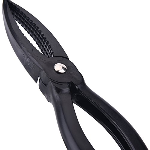 image for Vbestlife Fishing Pliers Saltwater Hook Remover Pliers Fishing Gripper