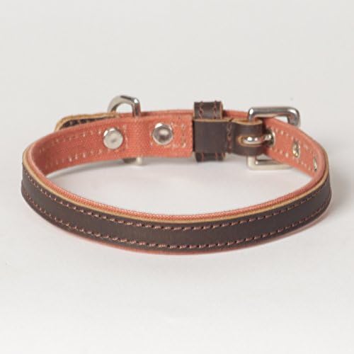 tuff stuff dog collars