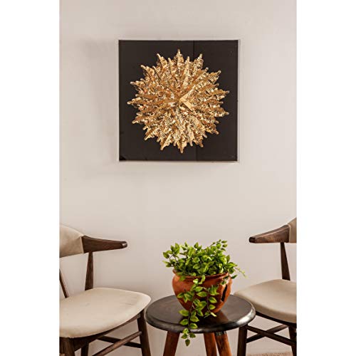Amazon Com 24 X Inch Gold Feather Shadow Box Wall Decor Modern