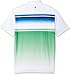 IZOD Men's Performance Golf Polo