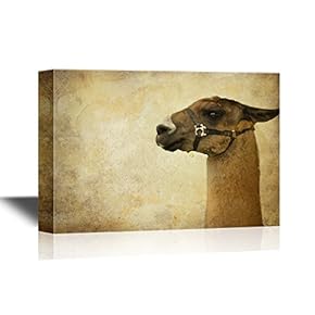 Wild Animal Camel on Abstract Background
