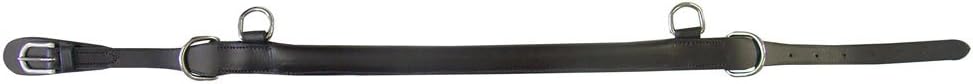 Intrepid InternationalExselle Elite Jumping Hackamore
