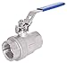 DuraChoice 304 Stainless Steel Ball Valve - Full Port - 1,000 WOG (PSI) Heavy Duty for Water, Oil, and Gas with Blue Locking Handles, NPT