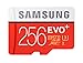 Samsung EVO+ 256GB UHS-I microSDXC U3 Memory Card with Adapter (MB-MC256DA/AM)