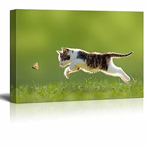 Canvas Wall Art - A Kitty Chasing a Butterfly - Giclee Print Gallery Wrap Modern Home Art Ready to Hang - 12" x 18"