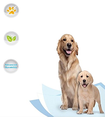 Allmax Premium Puppy Training Pads, 27.5-Inch by 35.5-Inch X-Large, 40-Piece - Thumbnail 3