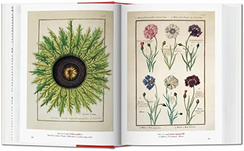 A Garden Eden. Masterpieces of Botanical Illustration. 40th Ed. 3