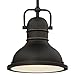 Westinghouse 63082A Boswell Pendant, Mini, Oil Rubbed Bronze w/Highlights