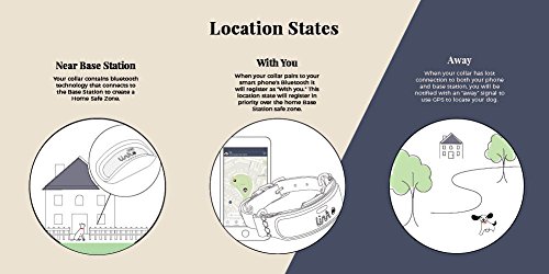 link akc gps & activity monitor smart collar