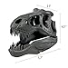 Funwares Wash n' Roar T-Rex Shower Head, Gray - Shower Nozzle Shaped like a Tyrannosaurus Rex Skull