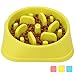 NOYAL Slow Feeder Dog Bowls Puzzle Anti-Gulping Interactive Bloat Durable Preventing Choking Healthy Dogs Bowl