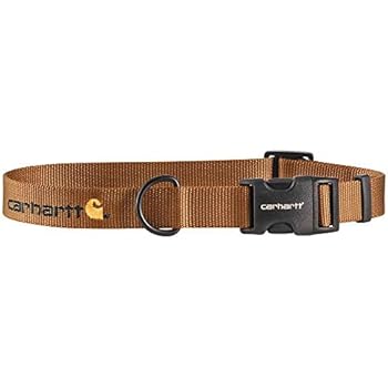 carhartt dog collar large