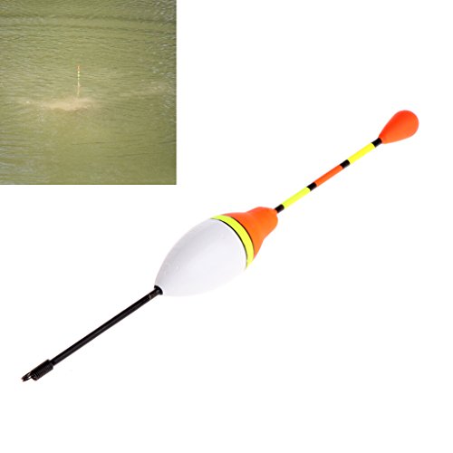 JSMH 4# 3,0 g 10 Stück/Set Karpfenangeln Posen Kits Bobber Stick Fischzubehör Vertikale Angelpose – Bild 4