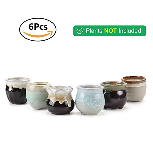 3 T4U+Ceramic+Flowing+succulent+Container