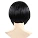 Secretgirl Short Straight Hair Bob Wigs Cosplay Party Wig for Women Black Heat Resistant Wig (#1)
