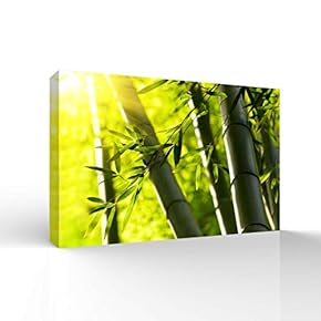 Wall26-Canvas Wall Art-Quiet Bamboo Grove-Giclee Painting Wall Bedroom Living House Decoration Home Art - 12x18 inches