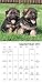 Puppies Mini Wall Calendar (2017)