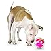 Outward Hound Orbee-Tuff Mazee Interactive Dog Puzzle Toy, Treat Dispensing Slow Feeder Ball, Pink, 4.7-Inch