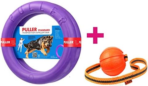 COLLAR New Version 2018 Dog Training Tools - K9 Training Equipment and Bonus - Large Medium K9 Dog