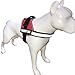 Albcorp Reflective Therapy Dog Vest Harness, Woven Nylon, Adjustable Service Animal Jacket, with 2 Hook and Loop Therapy Dog Removable Patches. Red, Small