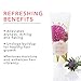 100% PURE Burdock & Neem Healthy Scalp Clarifying Shampoo Moisturizing Detox with Rose Hydrosol Replenishing Cleanser for Dry, Itchy, Flaky Scalp for Women & Men - 8 Fl Oz