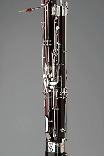 Tempest Agility Winds Alpine Wood Bassoon, Silver Plated Keys, High D & High E Key, Lined Tone Holes, Full German Key Mechanism, 2 Bocals, Plush Lined Case with 5-Year Warranty