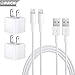 Farrinne iPhone Charger, iPhone Charger Wire Data Sync Charging Cord Compatible with iPhone X/8 Plus/7 Plus/6s/6 Plus/6s Plus/5/5s/5c/XS/XR/XS Max[2-Pack]