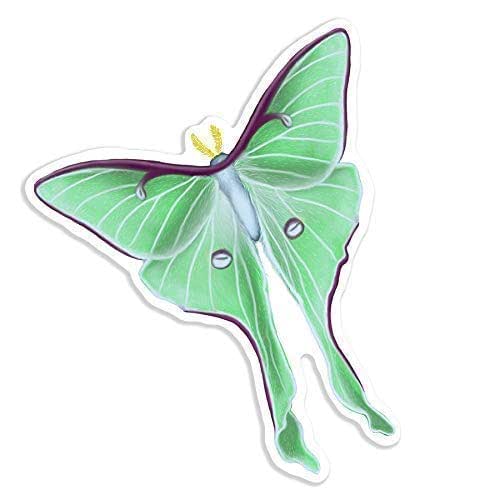 Amazon Com Luna Moth Waterproof Vinyl Sticker For Laptop Phone Or Water Bottle Handmade Products