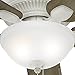 Hunter Matheston Indoor / Outdoor Ceiling Fan with Light and Pull Chain Control