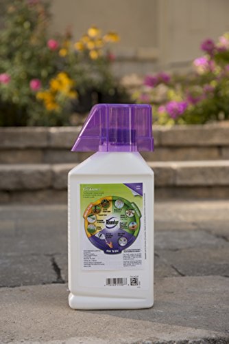 2 Roundup+Grass+Killer+Concentrate+35+2+Ounce