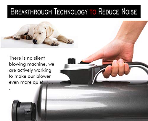 shernbao High Velocity Professional Dog/Pet Grooming Force Dryer/Blower 6.0HP (DHD-2400T) - Thumbnail 2