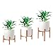 Bamboo Plant Stand | Potted Plant Rack for Indoors & Outdoors | Mid Century Modern Flower Pot Holder | Adjustable Width: 8-12