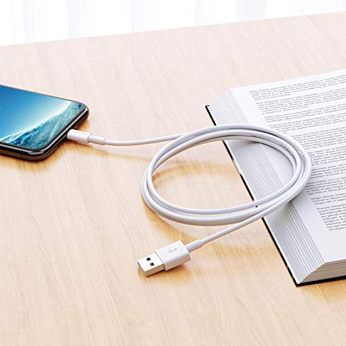 POWERADD Lightning Cable 6.6ft MFI Certified iPhone Charger USB Charging/Sync Lightning Cord 8 Pins Compatible with iPhone SE 11 11 Pro 11 Pro Max Xs MAX XR X 8 7 6S 6 5, iPad and More, Silver White