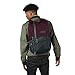 Jansport Urban Hatchet Backpack (Dried Fig/Grey Horizon)
