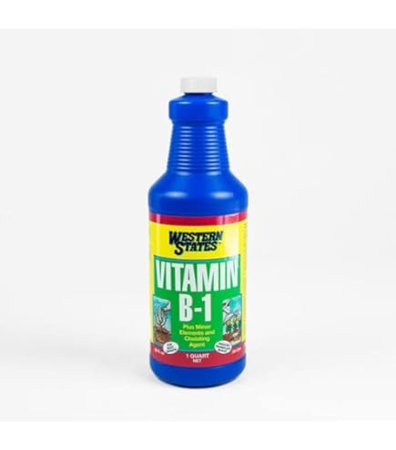 Amazon.com : Liquinox 1 0-2-0 Vitamin B1 Start, 1 quart