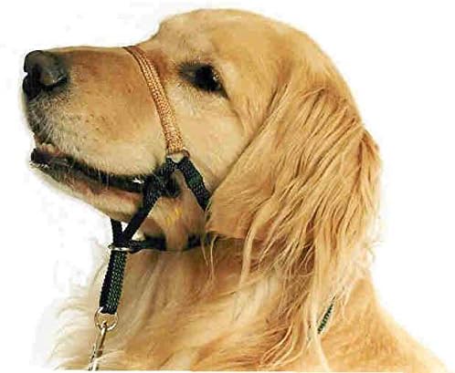 Comfort Trainer Head Halter. Stops Pulling for Ultimate Control