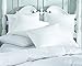 Great Bay Home 2-Pack Premium Allergy Body Pillow Protector. Dust Mite & Bed Bug Resistant 300 Thread Count 100% Cotton Zippered Pillow Covers. Tamara Collection By Brand. (Body Pillow)