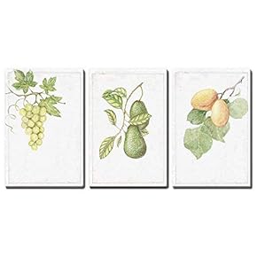 3 Panel Canvas Wall Art - Hand Drawn Vegetables Fruits On Branches Artwork - Giclee Print Gallery Wrap Modern Home Art Ready to Hang - 16"x24" x 3 Panels