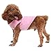 EXPAWLORER Princess Fashion Pet T-Shirt Small Dog Cat Vest Clothes Puppy Costumes for Chihuahua Yorkshire Terrier Pink S