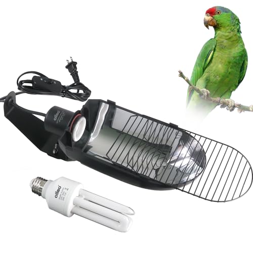 Oiibo Bird Cage Light Fixture