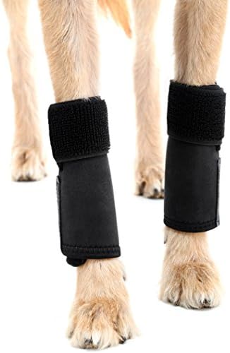 Dog Leg Compression Brace Wrap Dog Hock Joint Brace Protects Wounds Brace Heal and Prevents Injuries and Sprains and Helps with Loss of Stability Caused by Arthritis (Small/Medium)