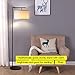Brightech Montage Modern Floor lamp, LED Floor Lamp for Living Rooms & Offices - Tall Standing Lamp for Bedroom Reading - Corner Pole Lamp for Contemporary Home Decor - Black
