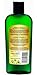 Hemp & Omega 3 Botanical Shampoo, Sulfate Free, SLS Free, for Itchy Scalp, Oily, Thinning, Color Treated Hair, Volumizing for Soft, Healthy, Shiny Hair, with Natural Hemp Seed Oil, Aloe (Single)