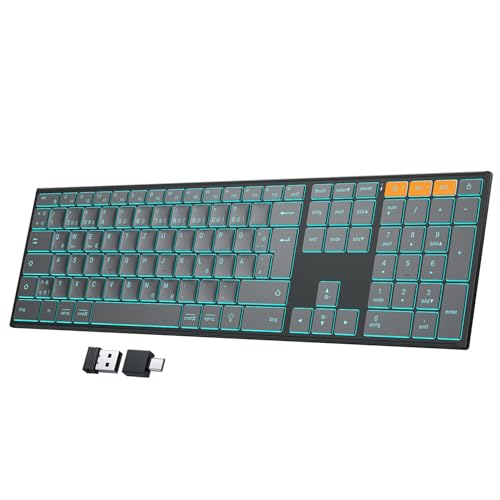 OMOTON Kabellose Tastatur Beleuchtet, Bluetooth + 2,4G, Graphit
