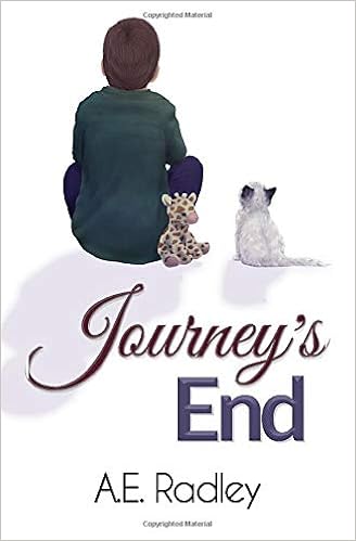 Amazon Com Journey S End The Flight Series Volume 3 9781999702991 Radley A E Books