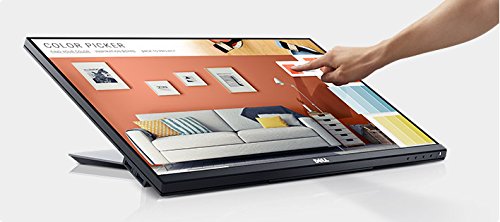 Dell P2418HT 23.8