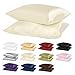 Silky Soft Satin Pillowcase Pair (Standard/Queen, Beige)