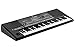Korg PA600QT 61-Key Professional Arranger with Quarter Tone Buttons