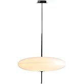 Brikey 19.7'' Nordic Acrylic Pendant Light, 5-Light Hanging Ceiling Lamp Chandelier for Dining Room Kitchen Island(White)